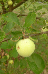 Similar image 234603