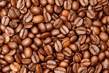 Similar image 234638