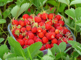 Similar image 234647