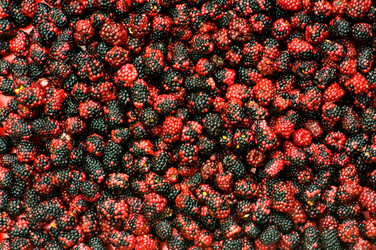 Similar image 234650