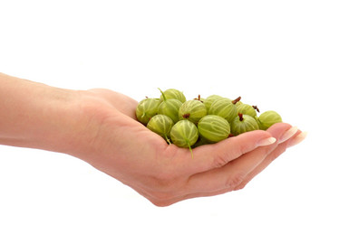 Similar image 234651