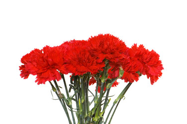 Similar image 234653