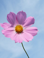 Similar image 234662