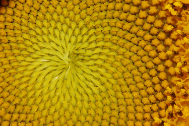 Similar image 234664