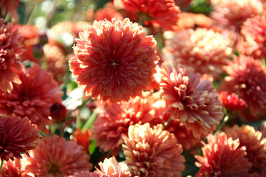 Similar image 234674