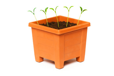 Similar image 234688