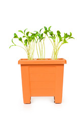 Similar image 234689