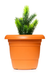 Similar image 234690