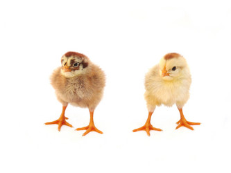 Similar image 234726