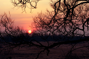 Similar image 234736