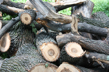 Similar image 234742