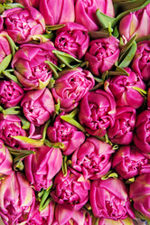 Similar image 234783