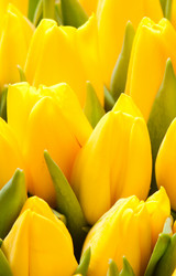 Similar image 234785