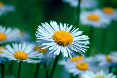 Similar image 234797