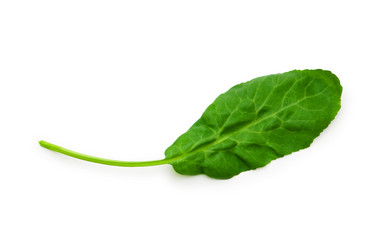 Similar image 234800