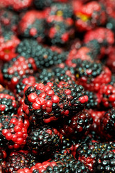 Similar image 234814