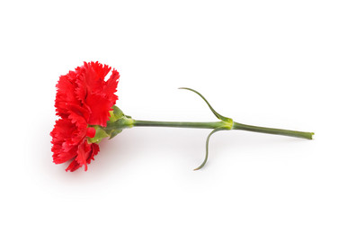 Similar image 234815