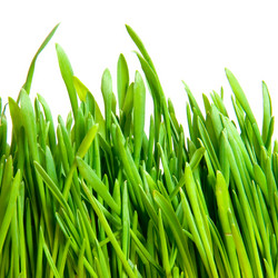 Similar image 234828