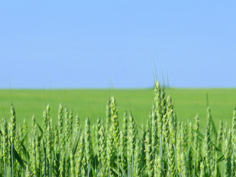 Similar image 234829