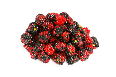 Similar image 234857