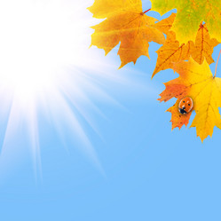 Similar image 234864