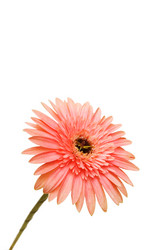 Similar image 234875