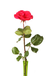 Similar image 234886