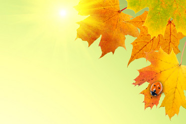 Similar image 234888