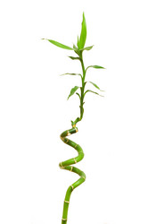 Similar image 234892