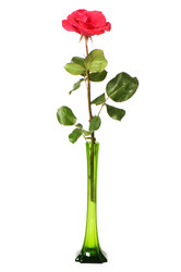 Similar image 234937