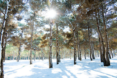 Similar image 234952