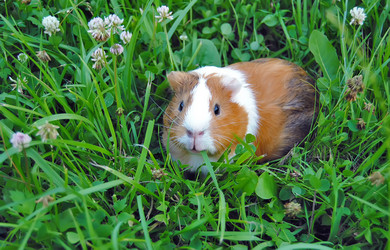 Similar image 234974