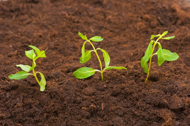 Similar image 234989