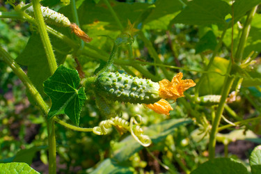 Similar image 235011