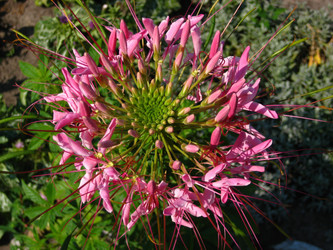 Similar image 235016