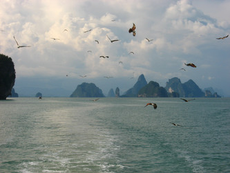 Similar image 235020