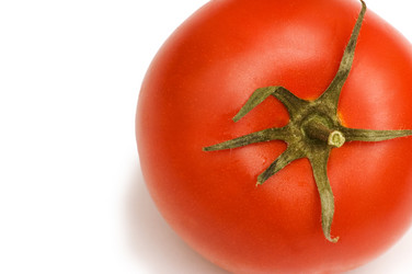 Similar image 235040