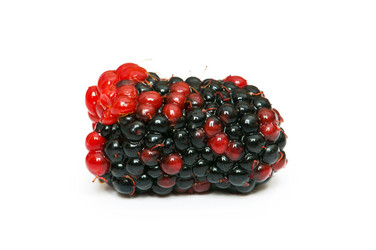 Similar image 235043