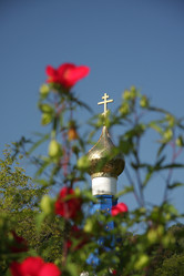 Similar image 235046