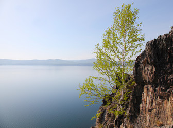 Similar image 235049