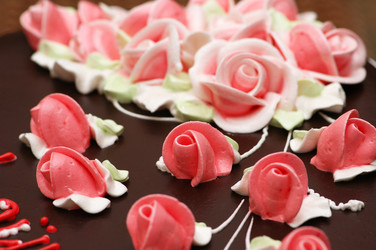 Similar image 235056