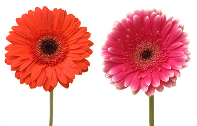 Similar image 235080