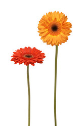 Similar image 235083