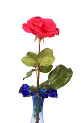 Similar image 235084