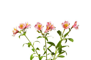 Similar image 235086