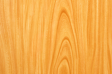 Similar image 235101