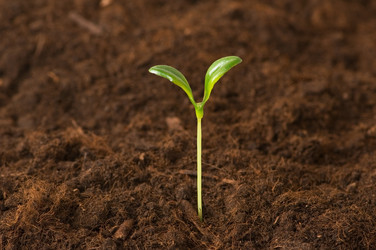 Similar image 235109