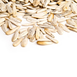 Similar image 235130