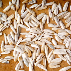 Similar image 235132