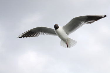 Similar image 235161